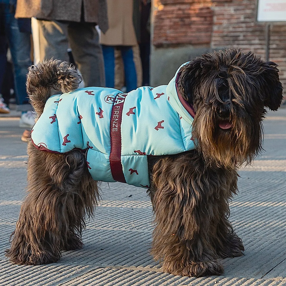 Bespoke Dog Coat/Raincoat Pattern Eco-Duvet