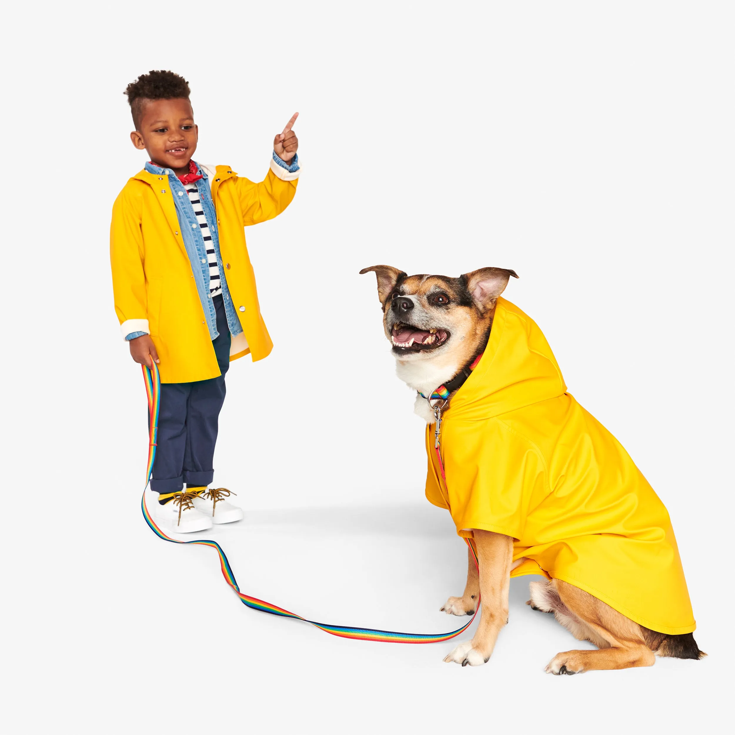 Clearance pet raincoat