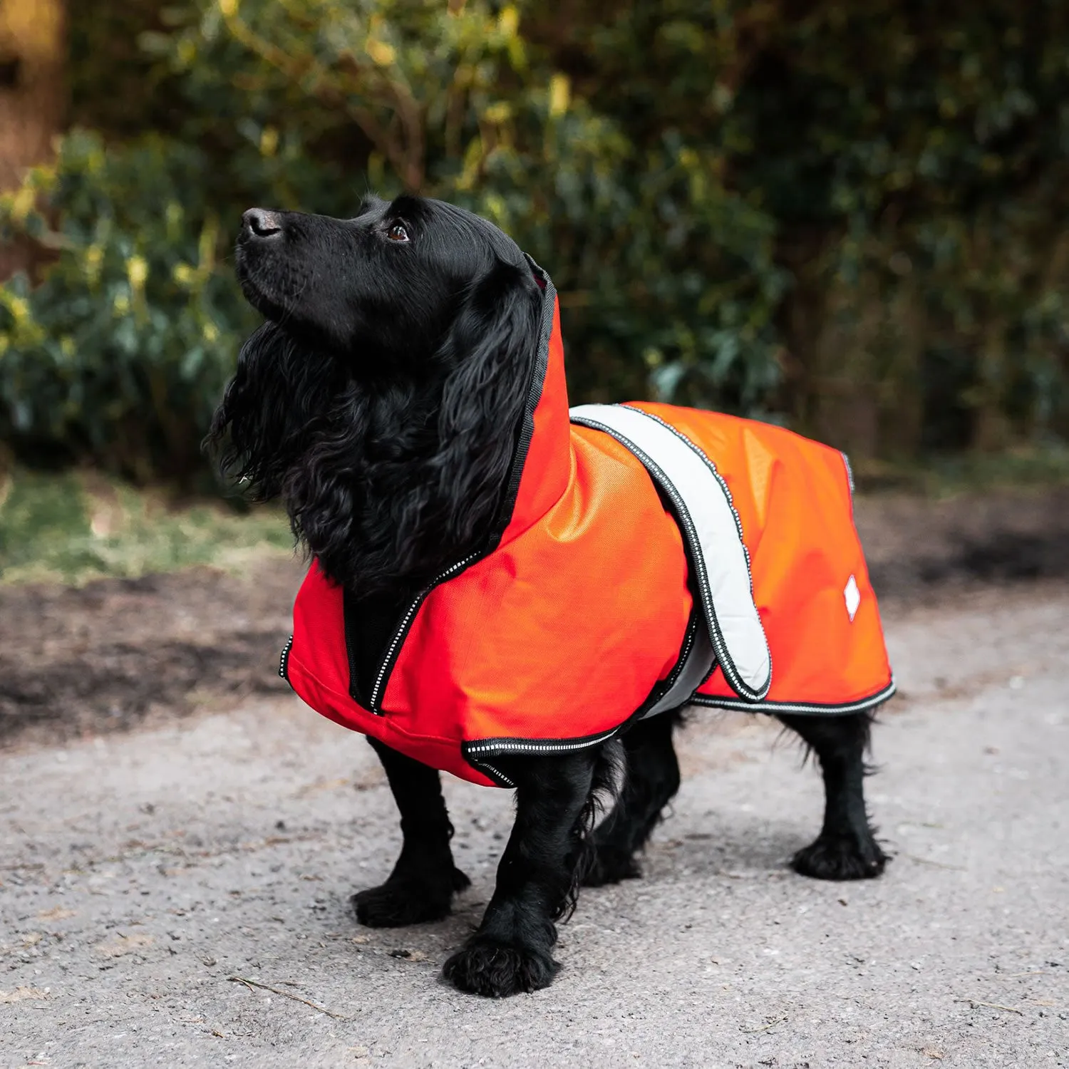 Danish Design Ultimate 2-in-1 Dog Coat High Vis Orange