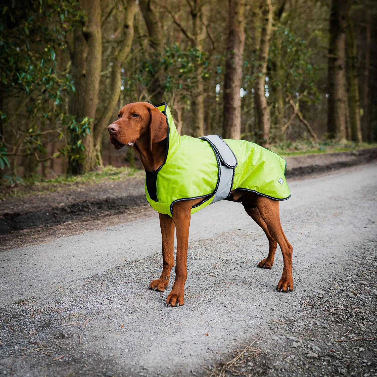 Danish Design Ultimate 2-in-1 Dog Coat High Vis Yellow