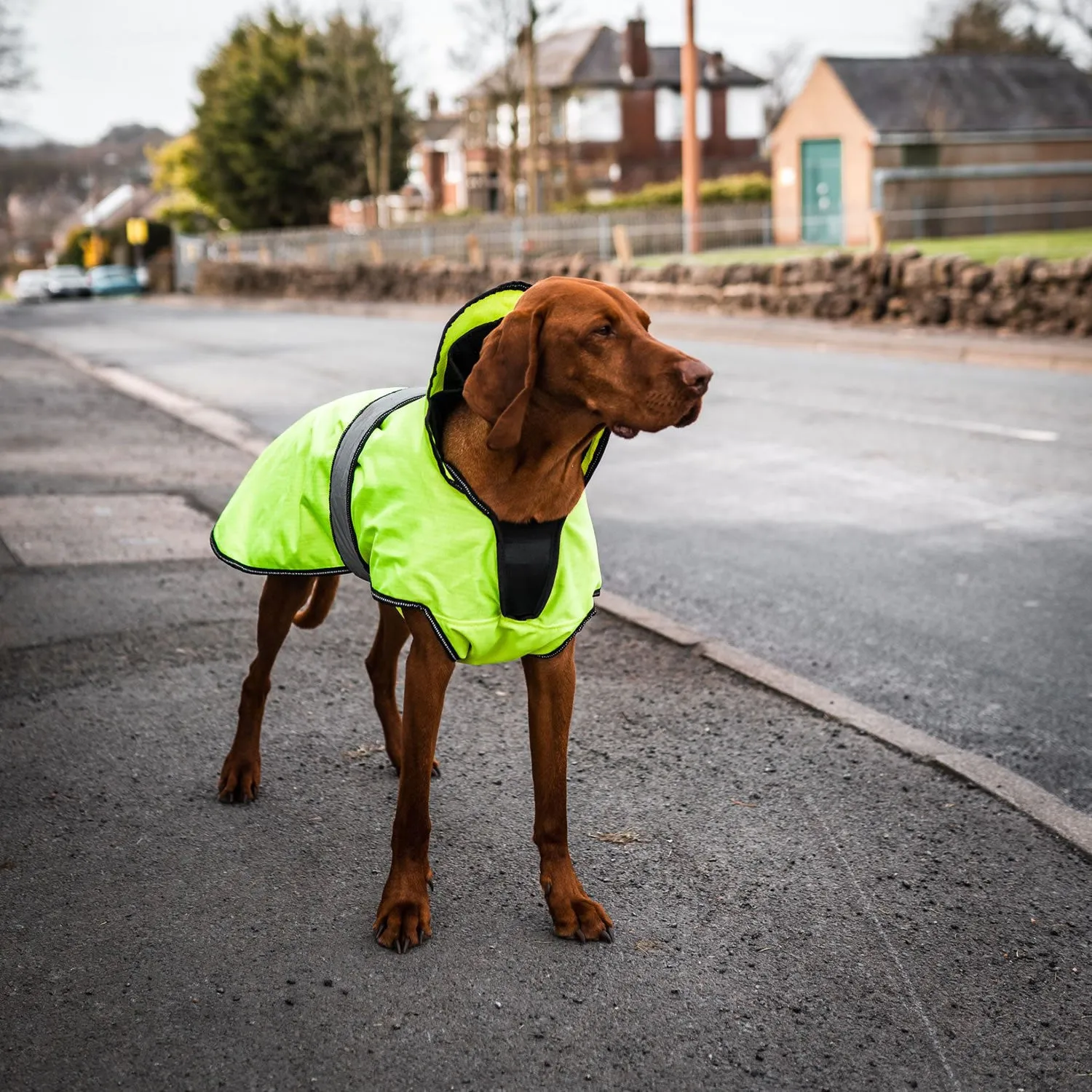 Danish Design Ultimate 2-in-1 Dog Coat High Vis Yellow