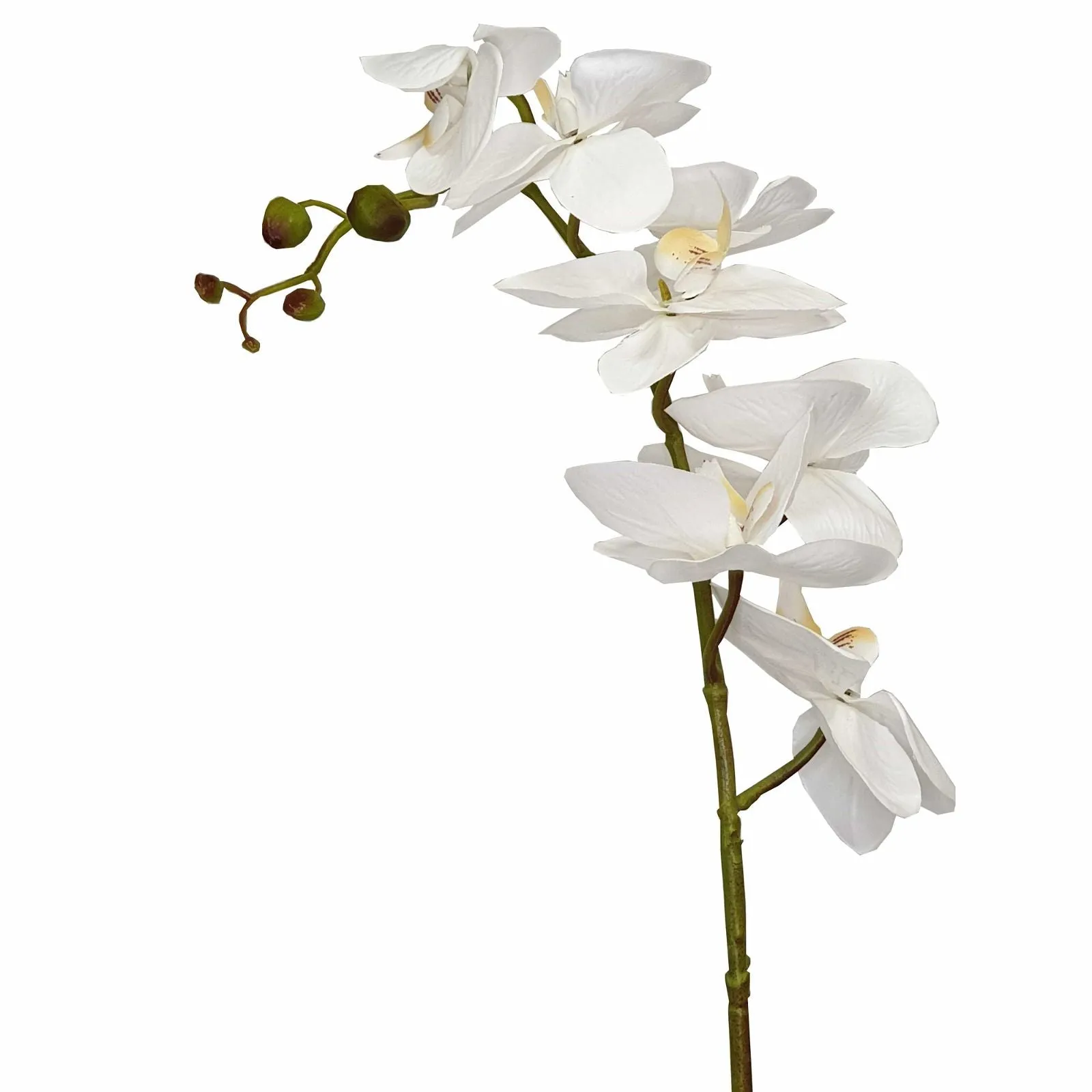 Orchid With White Flowers 60cm Artificial Plant by Criterion