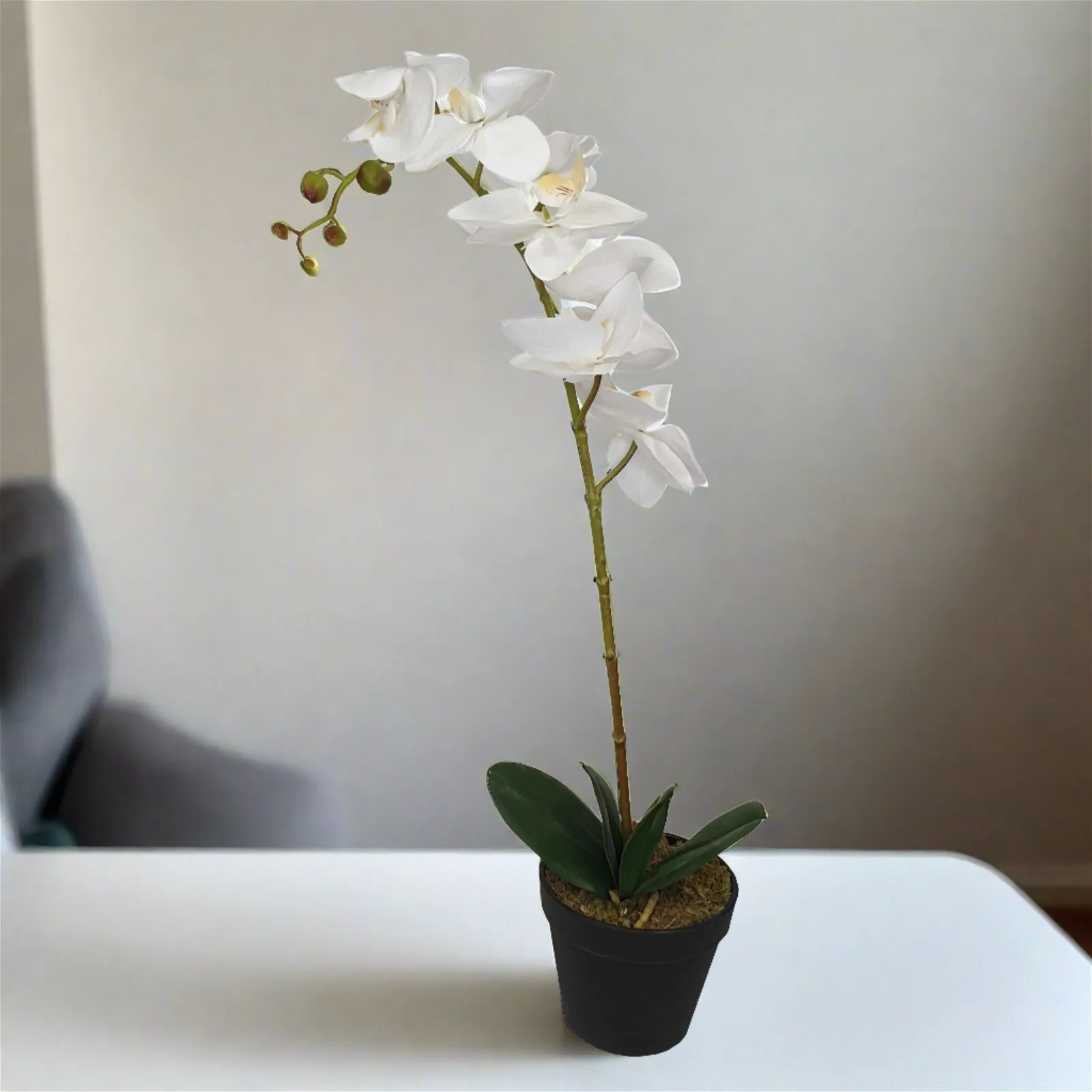 Orchid With White Flowers 60cm Artificial Plant by Criterion