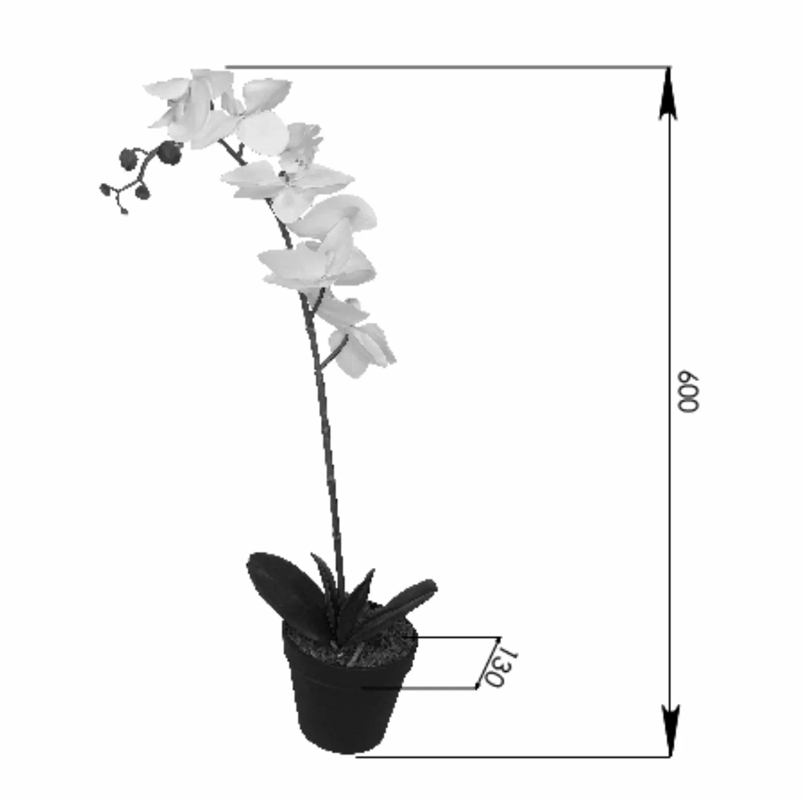 Orchid With White Flowers 60cm Artificial Plant by Criterion