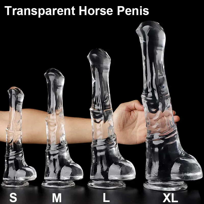 Realistic Horse Dildo - Jelly Animal Dildo Butt Plug Anal Orgasm