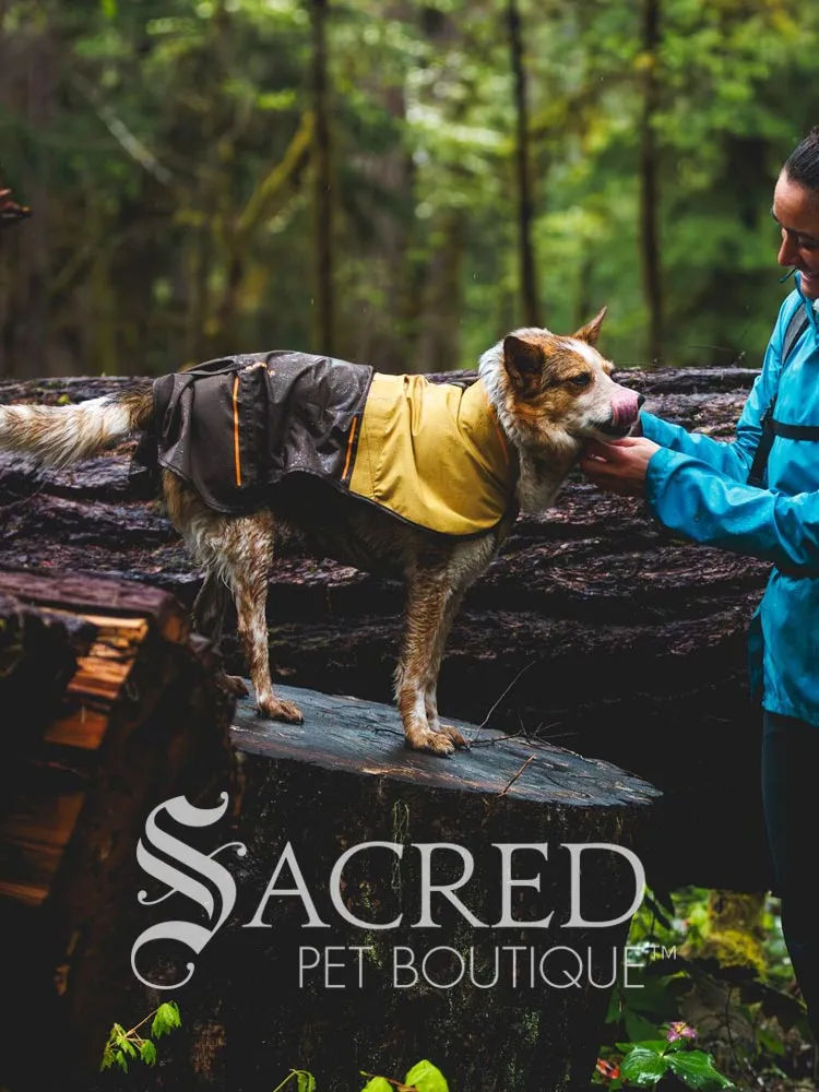 Sun Shower Dog Raincoat