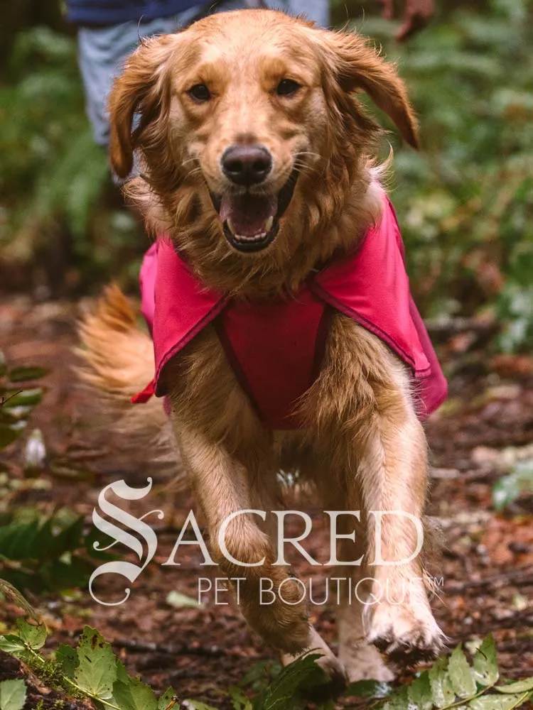 Sun Shower Dog Raincoat