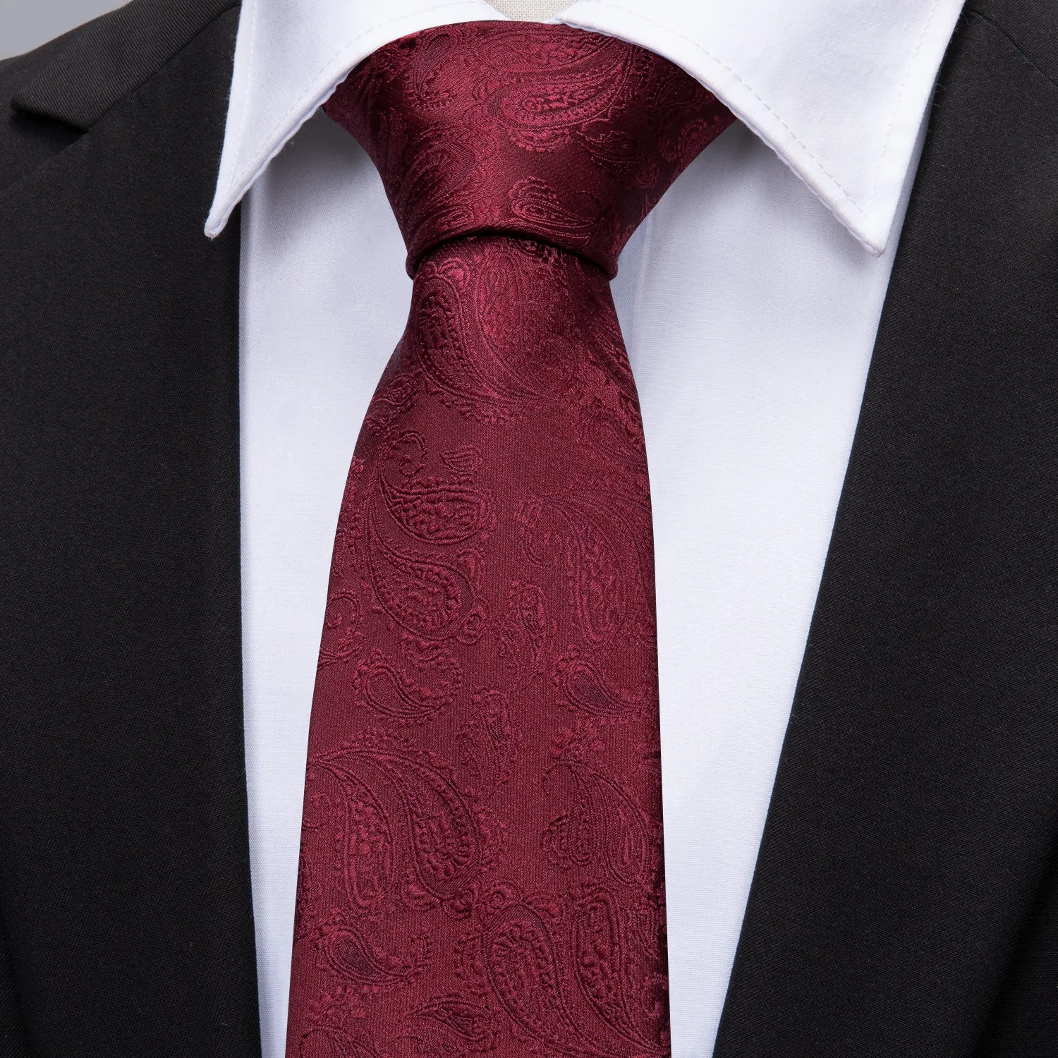 Ties2you Burgundy Tie for Men Paisley Silk Necktie Set for Suit Top