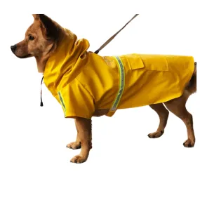 Trendy Raincoat for Pups"