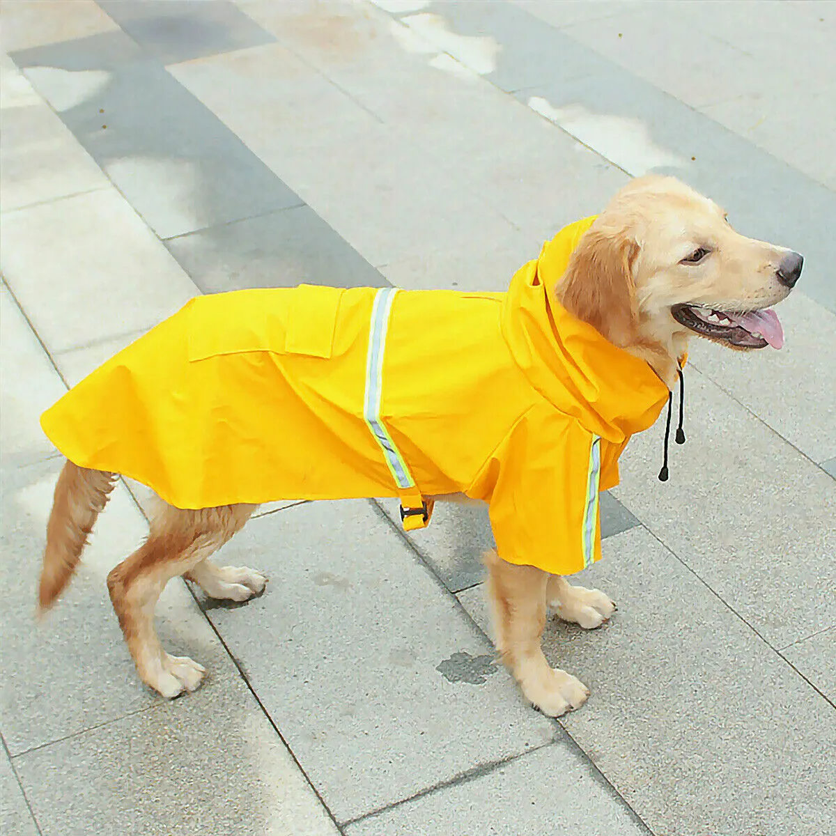 Trendy Raincoat for Pups"