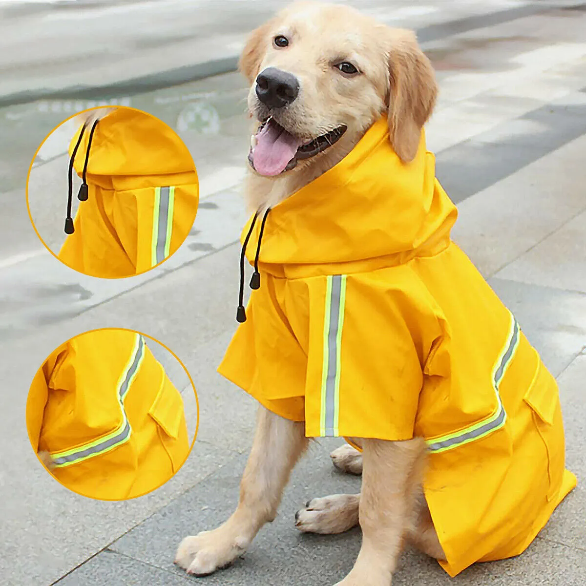 Trendy Raincoat for Pups"