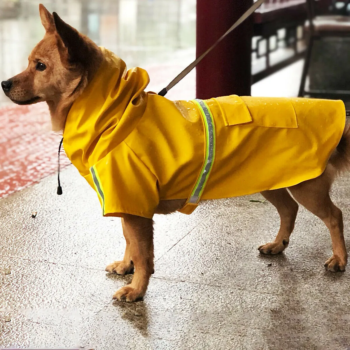 Trendy Raincoat for Pups"